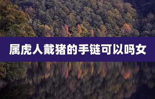 属虎人戴猪的手链可以吗女