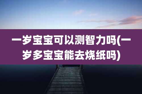 一岁宝宝可以测智力吗(一岁多宝宝能去烧纸吗)