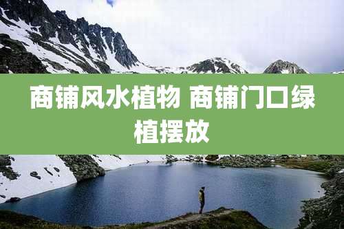 商铺风水植物 商铺门口绿植摆放