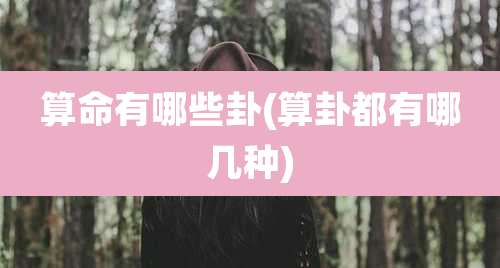 算命有哪些卦(算卦都有哪几种)