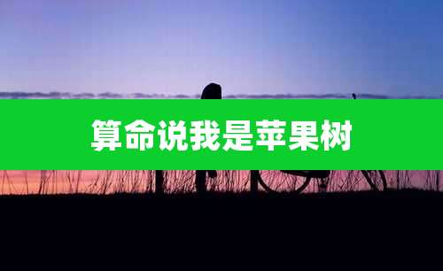 算命说我是苹果树