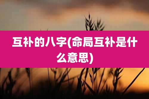 互补的八字(命局互补是什么意思)