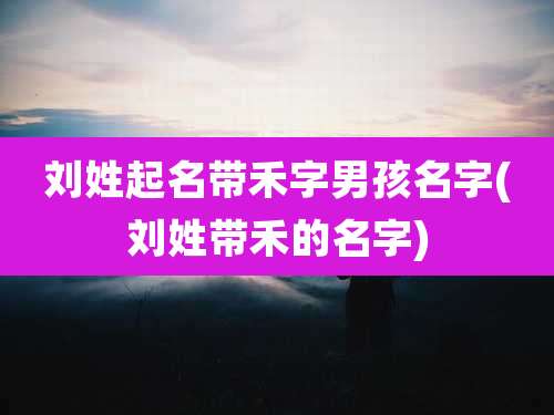 刘姓起名带禾字男孩名字(刘姓带禾的名字)