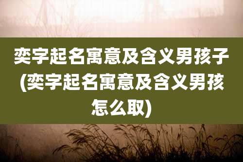 奕字起名寓意及含义男孩子(奕字起名寓意及含义男孩怎么取)