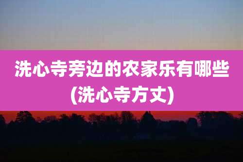 洗心寺旁边的农家乐有哪些(洗心寺方丈)