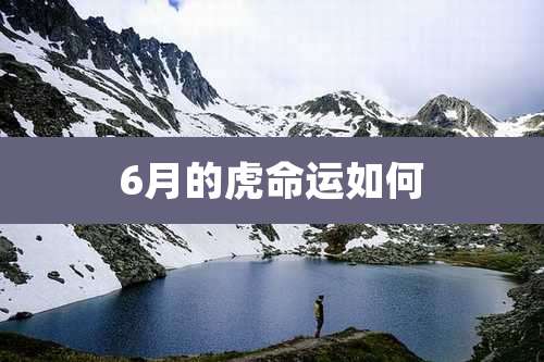 6月的虎命运如何