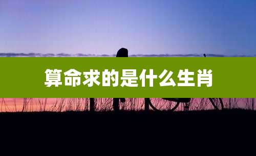 算命求的是什么生肖