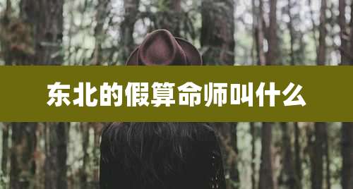 东北的假算命师叫什么