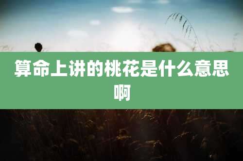 算命上讲的桃花是什么意思啊