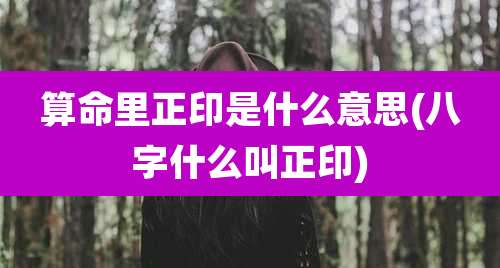 算命里正印是什么意思(八字什么叫正印)