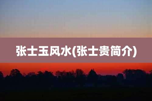 张士玉风水(张士贵简介)