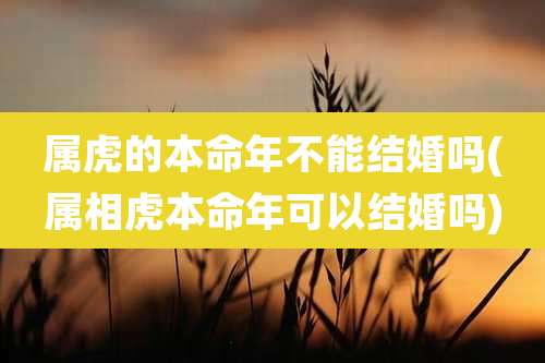 属虎的本命年不能结婚吗(属相虎本命年可以结婚吗)