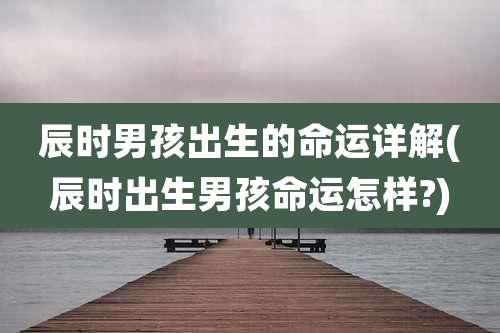 辰时男孩出生的命运详解(辰时出生男孩命运怎样?)