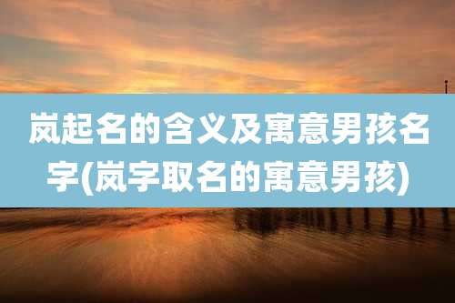岚起名的含义及寓意男孩名字(岚字取名的寓意男孩)