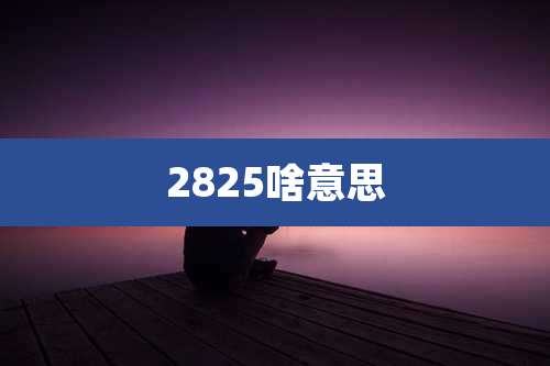 2825啥意思
