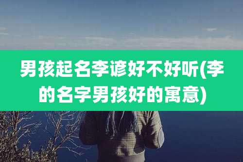 男孩起名李谚好不好听(李的名字男孩好的寓意)