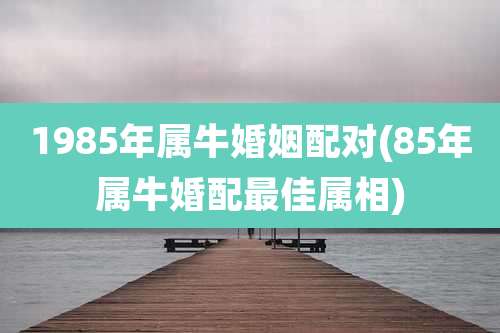 1985年属牛婚姻配对(85年属牛婚配最佳属相)