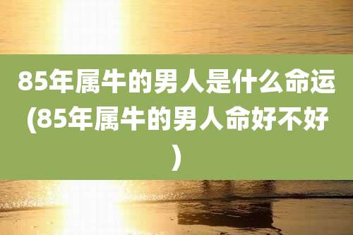 85年属牛的男人是什么命运(85年属牛的男人命好不好)