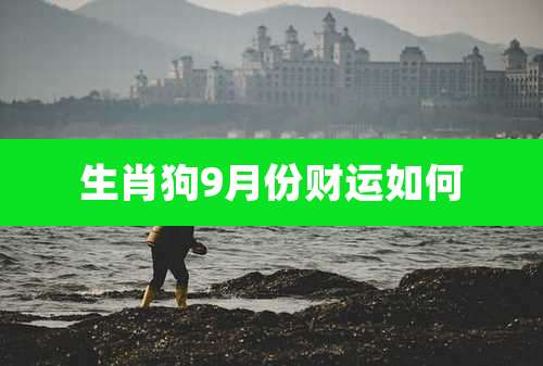 生肖狗9月份财运如何
