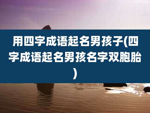 用四字成语起名男孩子(四字成语起名男孩名字双胞胎)