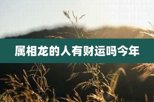 属相龙的人有财运吗今年