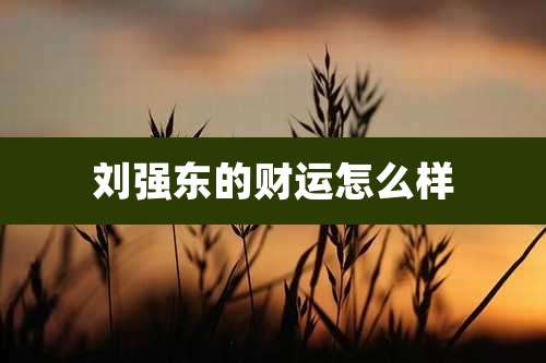 刘强东的财运怎么样