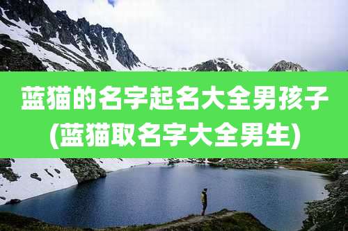 蓝猫的名字起名大全男孩子(蓝猫取名字大全男生)