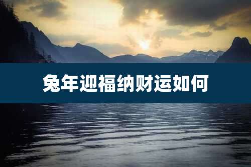兔年迎福纳财运如何
