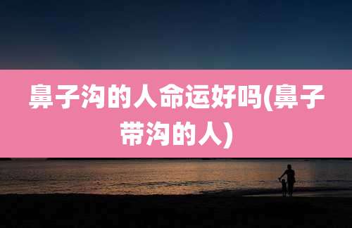 鼻子沟的人命运好吗(鼻子带沟的人)