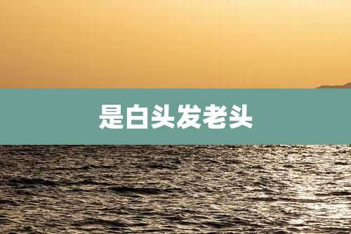 是白头发老头