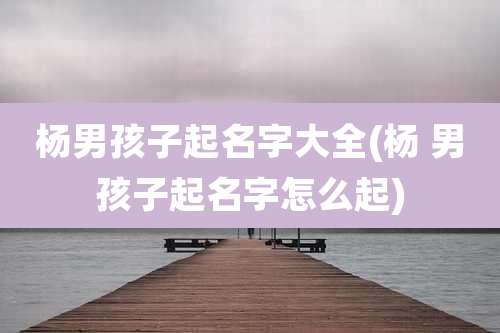 杨男孩子起名字大全(杨 男孩子起名字怎么起)