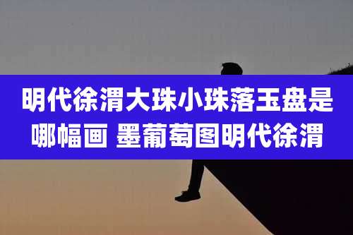 明代徐渭大珠小珠落玉盘是哪幅画 墨葡萄图明代徐渭