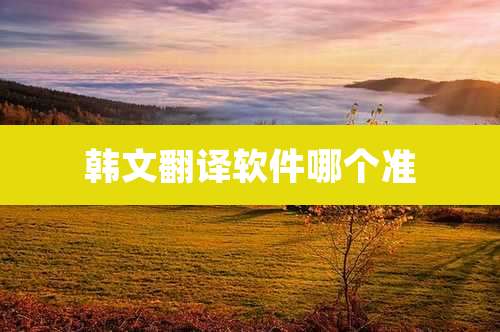 韩文翻译软件哪个准
