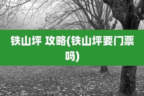 铁山坪 攻略(铁山坪要门票吗)