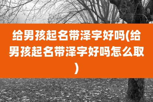 给男孩起名带泽字好吗(给男孩起名带泽字好吗怎么取)