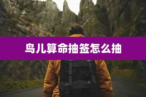 鸟儿算命抽签怎么抽