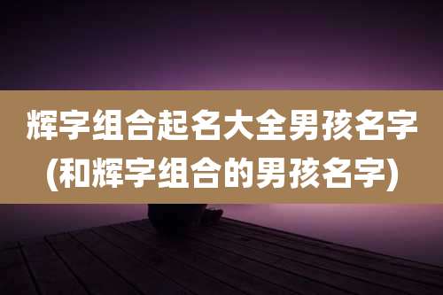 辉字组合起名大全男孩名字(和辉字组合的男孩名字)