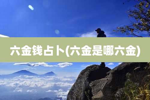 六金钱占卜(六金是哪六金)