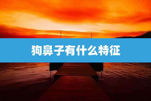 狗鼻子有什么特征