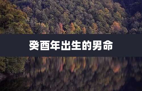 癸酉年出生的男命