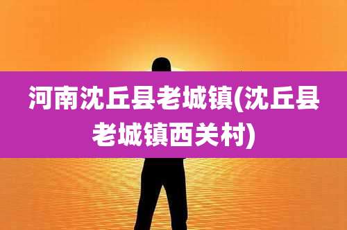 河南沈丘县老城镇(沈丘县老城镇西关村)