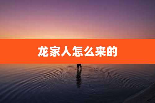 龙家人怎么来的