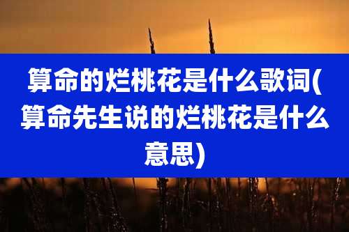 算命的烂桃花是什么歌词(算命先生说的烂桃花是什么意思)