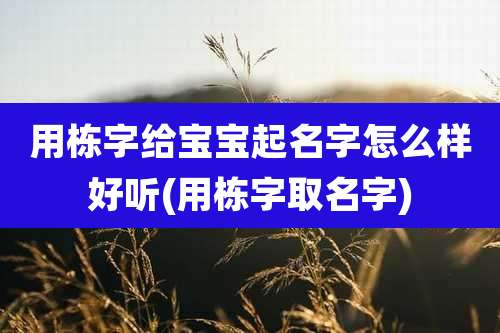 用栋字给宝宝起名字怎么样好听(用栋字取名字)