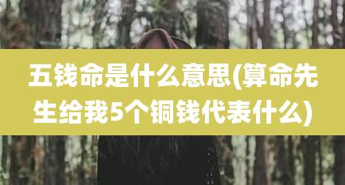 五钱命是什么意思(算命先生给我5个铜钱代表什么)