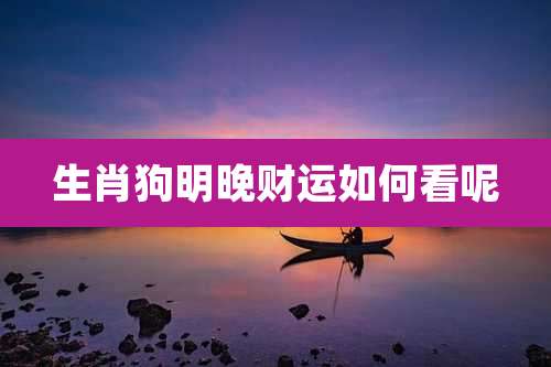 生肖狗明晚财运如何看呢