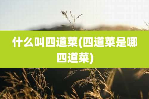 什么叫四道菜(四道菜是哪四道菜)