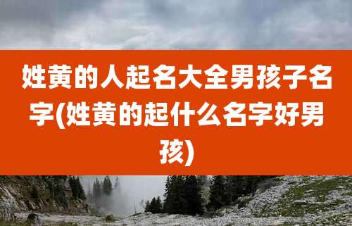 姓黄的人起名大全男孩子名字(姓黄的起什么名字好男孩)