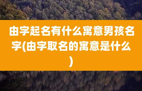 由字起名有什么寓意男孩名字(由字取名的寓意是什么)