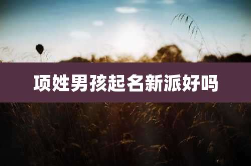 项姓男孩起名新派好吗